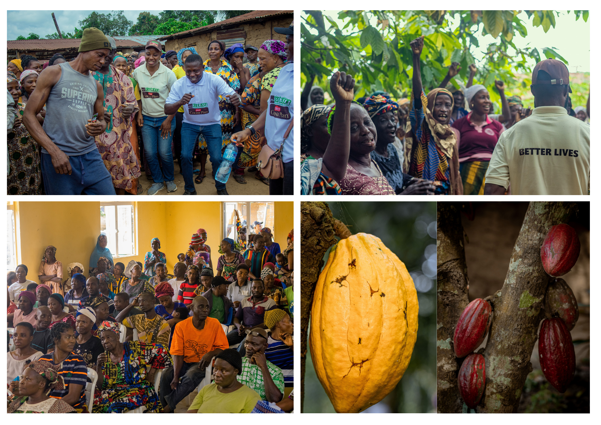 Cocoa farming community members at origin